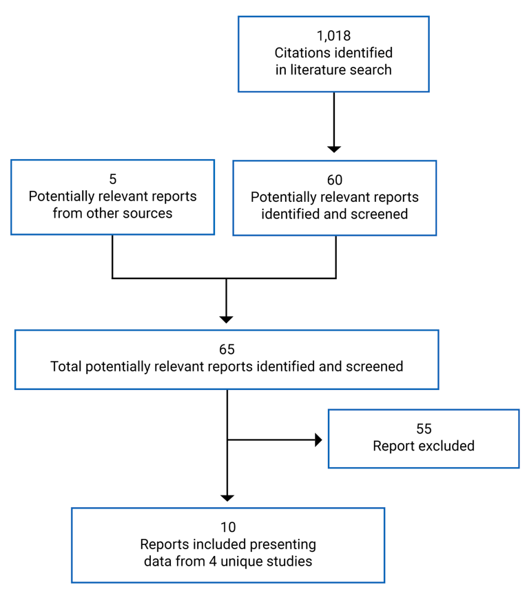 There were 1,018 citations were identified, 1,013 were excluded, while 5 electronic literature and grey literature potentially relevant full- text reports were retrieved for scrutiny. In total 10 reports are included in the review.